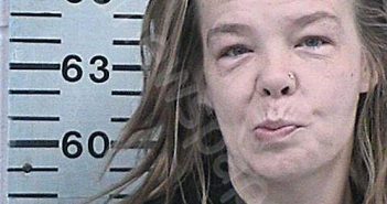 GOLDBERG, ANDREA JEAN | 2024-03-07 19:14:40 Hood County, Texas Booking
