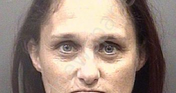 HENSLEY, SANDY CAROL | 2024-03-08 16:20:00 Rowan County, North Carolina Booking