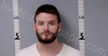 DAILEY-WILSON, DEVIN MICHAEL | 2024-03-09 01:26:00 Gratiot County, Michigan Booking