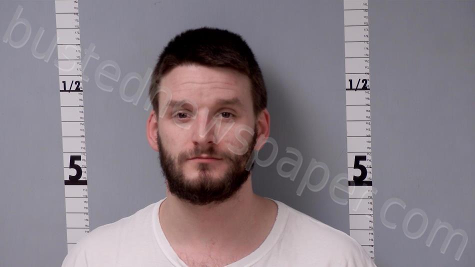 DAILEY-WILSON, DEVIN MICHAEL #, Gratiot County, Michigan - 2024-03-09 01:26:00
