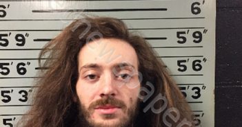 <B>WELYCZKO</B>, <B>ALEC</B> <B>SEBASTIAN</B> #, Transylvania County, North Carolina - 2024-03-13 17:10:00