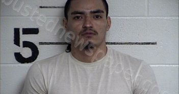 SALAZAR ORELLANA, WILSON | 2024-03-13 Chase County, Kansas Booking