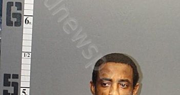 WHITLEY, DEANDRE LEON | 2024-03-13 14:50:00 Western Tidewater, Virginia Booking