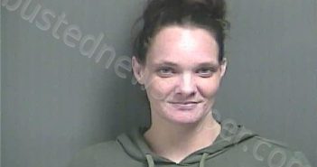 BURCHFIELD, TIFFANY ANN | 2024-03-14 17:37:00 Knox County, Indiana Booking