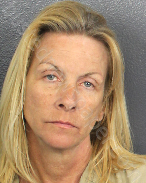 HAYES, BRANDY #, Broward County, Florida - 2024-03-14