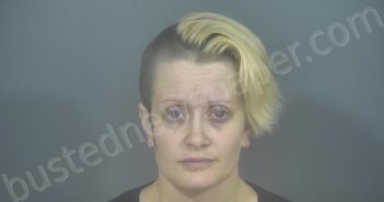 <B>DAVIS</B>, <B>ASHLEY</B> <B>MICHEL</B> #, St. Joseph County, Indiana - 2024-03-14 13:10:00