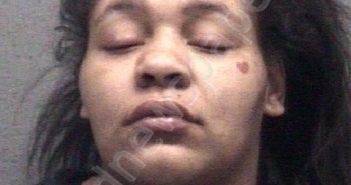 HUDGINS, CHEARISH ORLANDO | 2024-03-17 Muskegon County, Michigan Booking