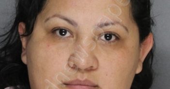 MARTINEZ, MARIA | 2024-03-17 07:32:00 Ellis County, Texas Booking