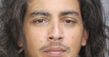 <B>HANNA</B>, <B>TRAVIS</B> <B>AJODHIA</B> #, Broward County, Florida - 2024-03-17