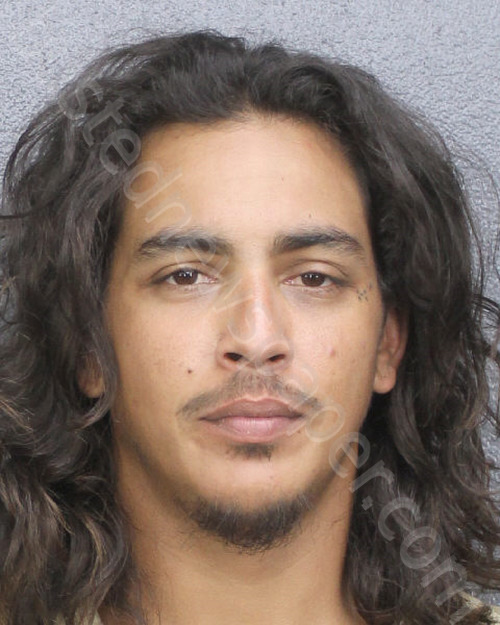HANNA, TRAVIS AJODHIA #, Broward County, Florida - 2024-03-17
