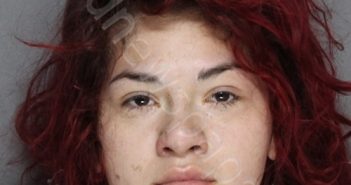 MARTINEZ, ADRIANNA RAFAELLA | 2024-03-18 19:28:00 Ellis County, Texas Booking