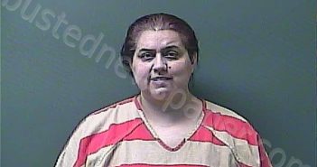 NOVAK, JENNIFER LYNN | 2024-03-18 18:43:00 Laporte County, Indiana, La Porte County, Indiana Booking