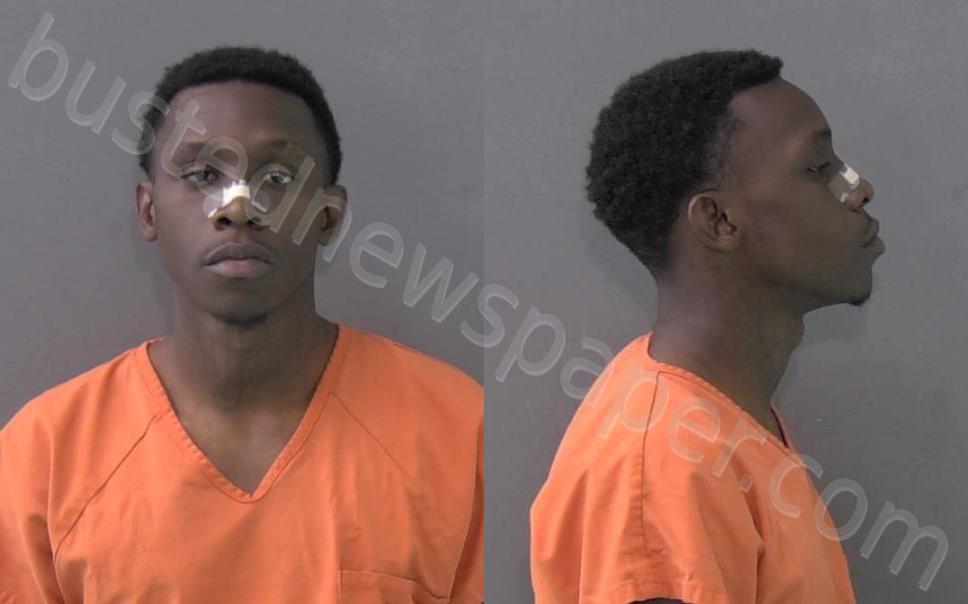 RIVERA, VINSON DAMONTEZE #, Bell County, Texas - 2024-03-18 10:39:00