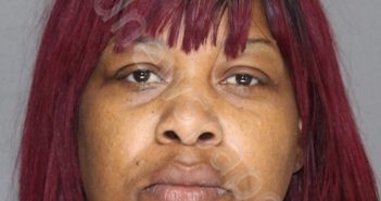 PHILLIPS, FALICHA LYNN | 2024-03-19 00:55:00 Ellis County, Texas Booking