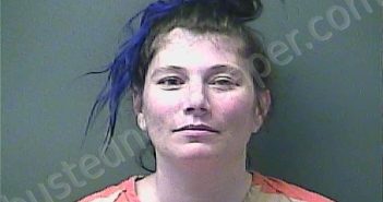 PAHL, STEPHANIE N | 2024-03-19 16:13:00 Laporte County, Indiana, La Porte County, Indiana Booking