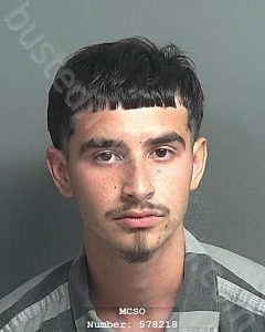 MARTINEZ, CHRISTIAN ALEJANDRO | 2024-03-19 13:10:00 Montgomery County, Texas Booking