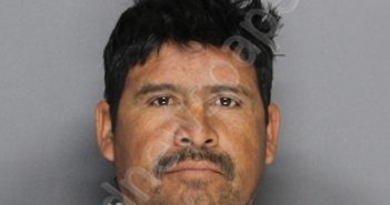 GARCIA-HERNANDEZ, LEONCIO | 2024-03-19 10:26:00 Ellis County, Texas Booking