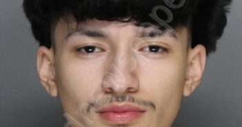 GONZALES, ANDREW JR | 2024-03-20 06:41:00 Ellis County, Texas Booking