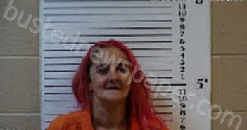 WALDROUP, PATRICA ANN | 2024-03-20 14:37:00 Cherokee County, North Carolina Booking