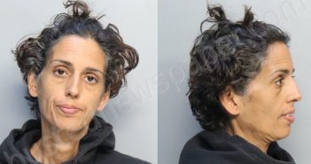 RODRIGUEZ, NATHALIE | 2024-03-21 13:33:00 Miami-Dade County, Florida Booking