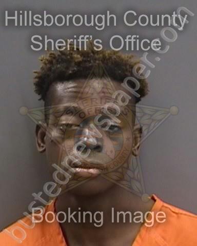 HARRIS,DEANDRE #, Hillsborough County, Florida - 2024-03-22 21:42:00