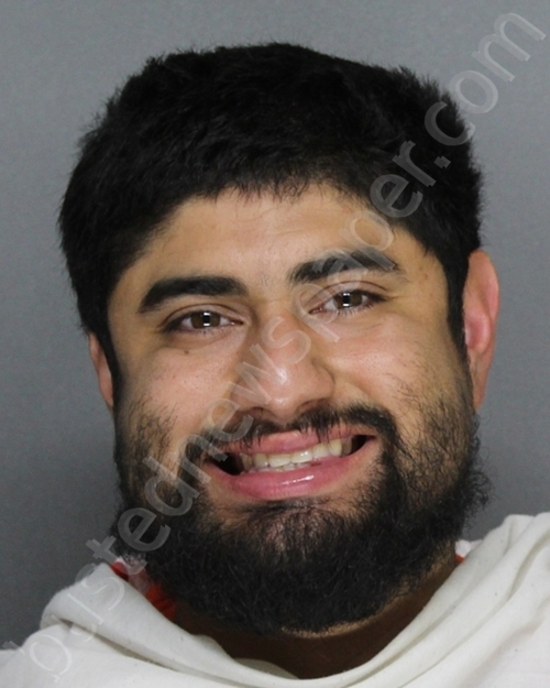 ALVAREZ, JOSE ANGEL #, Ellis County, Texas - 2024-03-22 04:26:00