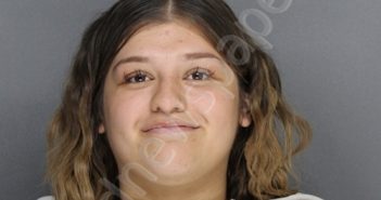 STEELE, NATALIA YASMIN | 2024-03-22 15:20:00 Ellis County, Texas Booking