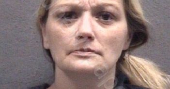 HUTSON, KRISTINA LORRAINE | 2024-03-22 Muskegon County, Michigan Booking