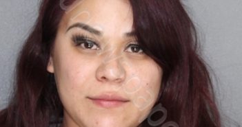 NORIEGA, BRENDA LETICIA | 2024-03-22 04:28:00 Ellis County, Texas Booking