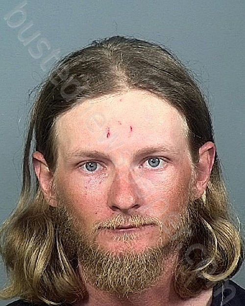 Hamilton, Clinton R 20240323 Manatee County, Florida Booking