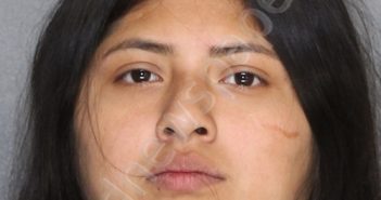 ROMERO, ANGELICA LIZETTE | 2024-03-24 04:01:00 Ellis County, Texas Booking