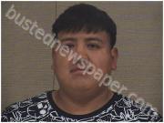 TELLEZ, HERMELEDO | 2024-03-25 Harnett County, North Carolina Booking