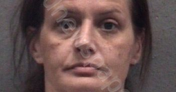 VANZANTEN, CRYSTAL ROSE | 2024-03-26 Muskegon County, Michigan Booking