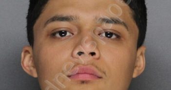 RODRIGUEZ, ADAN | 2024-03-26 13:36:00 Ellis County, Texas Booking