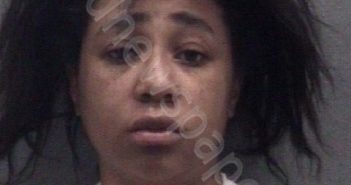 LOCKETT, SHANDEN NIKOLE | 2024-03-26 Muskegon County, Michigan Booking