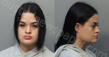 SIERRA, DANNA YULITZA | 2024-03-27 13:44:00 Miami-Dade County, Florida Booking