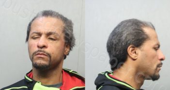 WILKINS, MARCUS ANTHONY | 2024-03-27 14:51:00 Miami-Dade County, Florida Booking