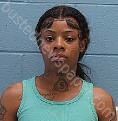 DEAZAIAH RAKIA JOHNSON #, Lee County, Alabama - 2024-03-29