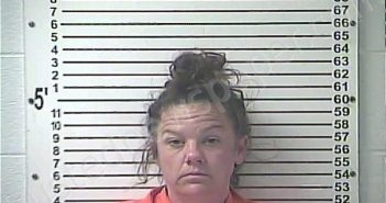 VANMETER, JULIE ANN | 2024-03-30 13:44:00 Hardin County, Kentucky Booking