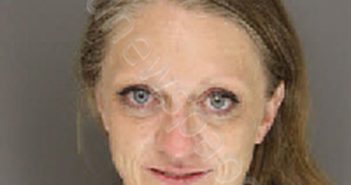 JOHNSON, CHRISTINA ANN | 2024-03-30 02:30:00 Moore County, North Carolina Booking