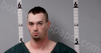 DALEY, DYLAN PATRICK | 2024-03-30 05:19:00 Gratiot County, Michigan Booking