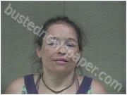 DAVIS, ANGEL | 2024-03-31 Harnett County, North Carolina Booking