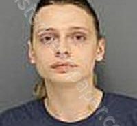 SMITH, JAMES DANIEL JR | 2024-03-31 Medina County, Ohio Booking