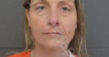 FALSETTA, CHRISTINE | 2024-03-31 17:01:00 Delaware County, New York Booking