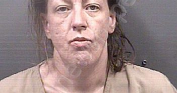 LAMBERT, EMILY ANN | 2024-03-31 15:55:00 Rowan County, North Carolina Booking
