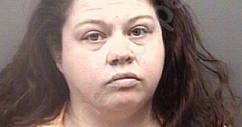HORNE, HEATHER LYNN | 2024-04-01 01:03:00 Rowan County, North Carolina Booking