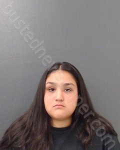 ROMERO, LUBY ADRIANA | 2024-04-01 Comal County, Texas Booking