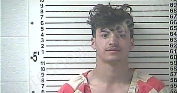 LEDESMA MENDEZ, LEONARD NMN | 2024-04-01 22:52:00 Hardin County, Kentucky Booking