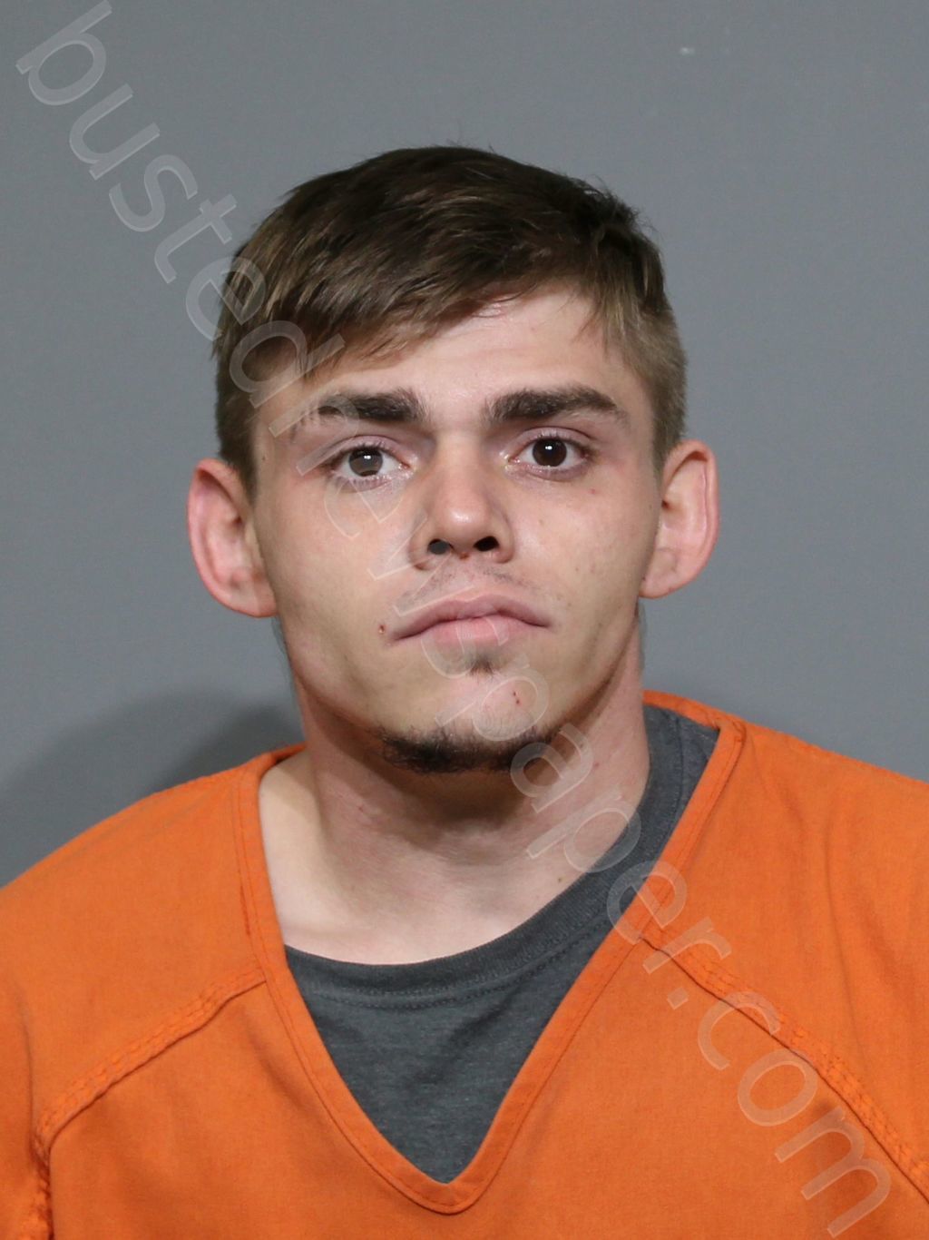 POWELL, ANTHONY TYLER #, York County, South Carolina - 2024-04-01 00:22:53