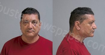 <B>MENDEZ</B>, HECTOR <B>ENRIQUE</B> #, Hidalgo County, Texas - 2024-04-01